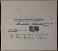 Image Associated With the Occurence